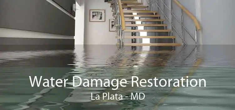 Water Damage Restoration La Plata - MD