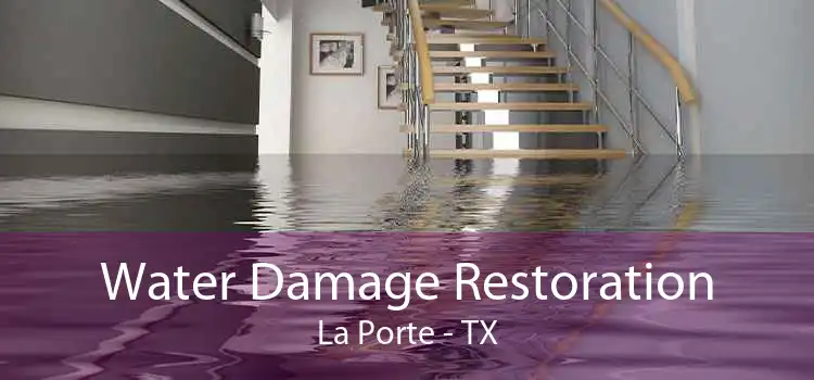 Water Damage Restoration La Porte - TX