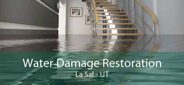 Water Damage Restoration La Sal - UT