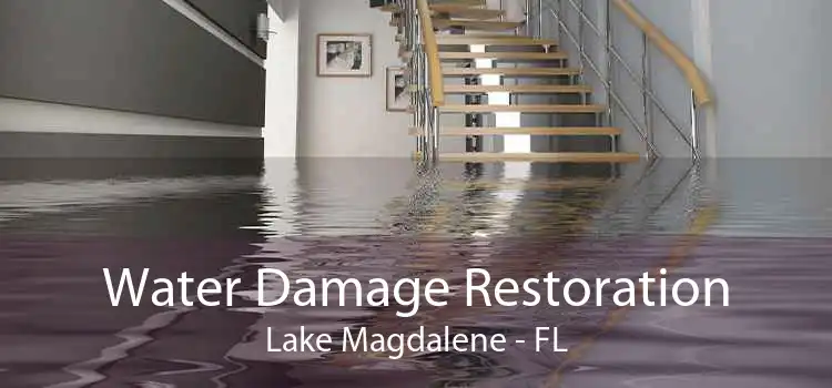Water Damage Restoration Lake Magdalene - FL