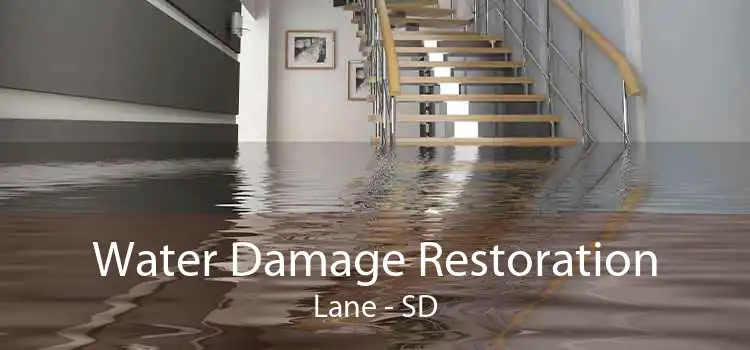 Water Damage Restoration Lane - SD