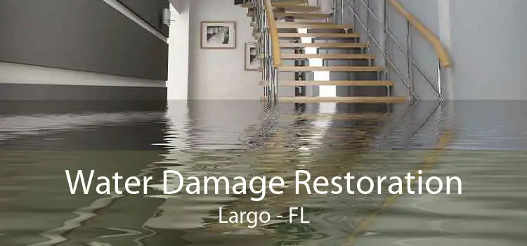Water Damage Restoration Largo - FL
