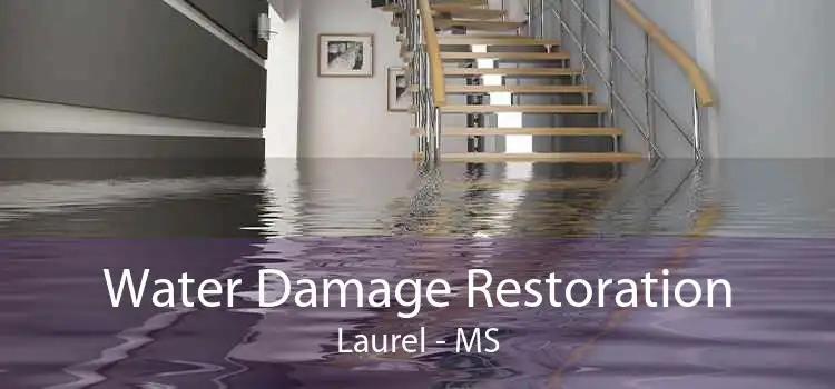 Water Damage Restoration Laurel - MS