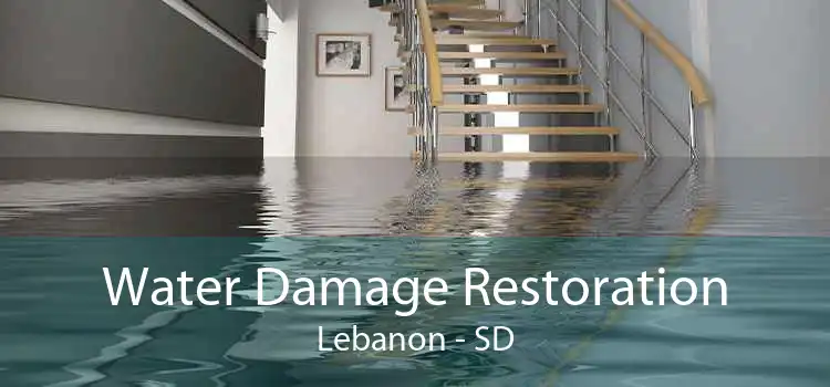 Water Damage Restoration Lebanon - SD