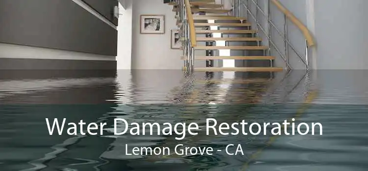 Water Damage Restoration Lemon Grove - CA