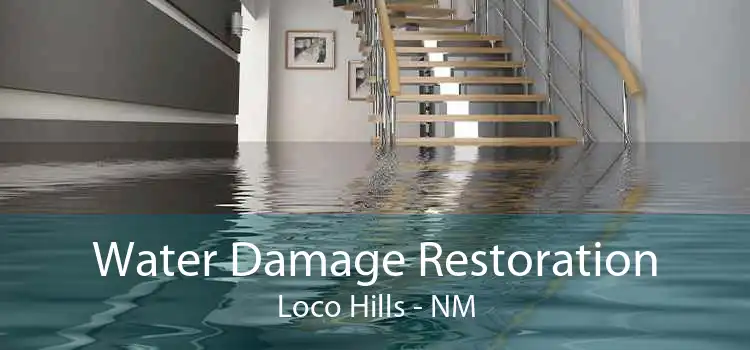 Water Damage Restoration Loco Hills - NM