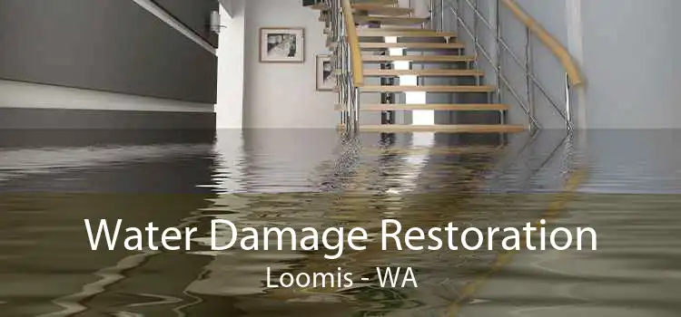 Water Damage Restoration Loomis - WA