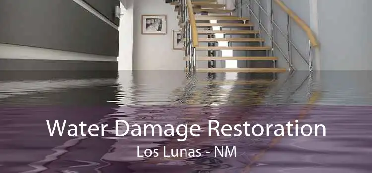 Water Damage Restoration Los Lunas - NM
