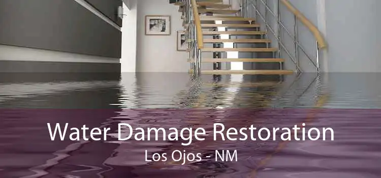 Water Damage Restoration Los Ojos - NM