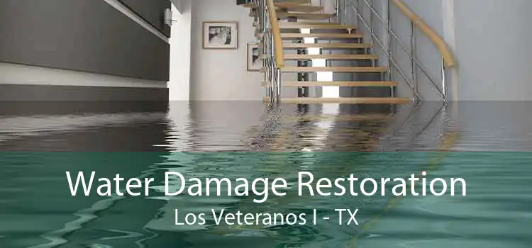 Water Damage Restoration Los Veteranos I - TX
