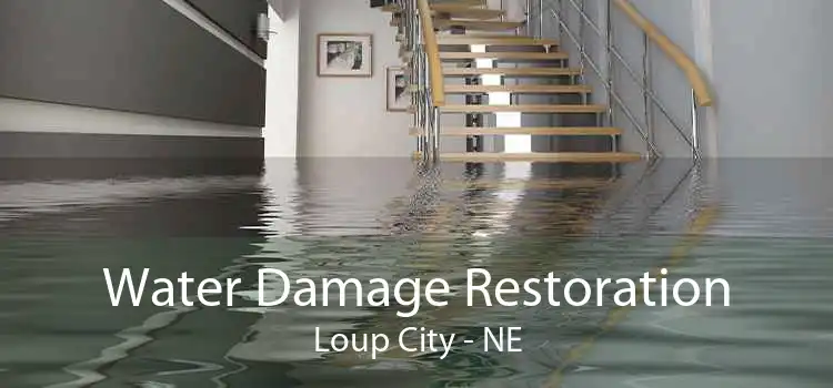 Water Damage Restoration Loup City - NE