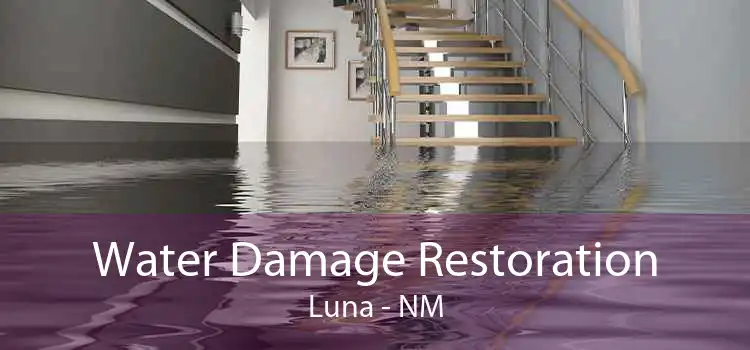 Water Damage Restoration Luna - NM