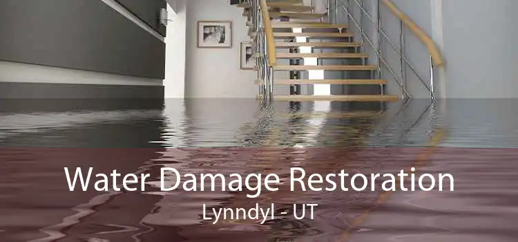 Water Damage Restoration Lynndyl - UT