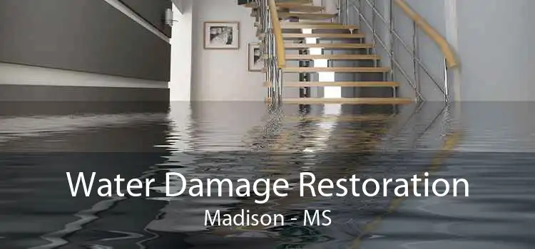 Water Damage Restoration Madison - MS