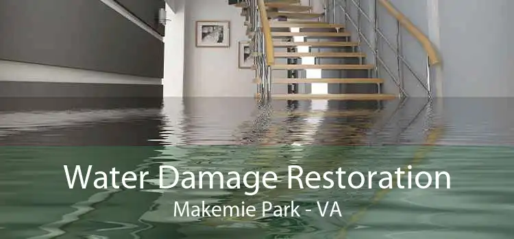 Water Damage Restoration Makemie Park - VA