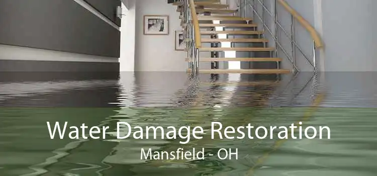 Water Damage Restoration Mansfield - OH