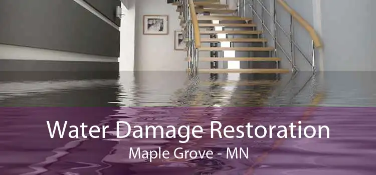 Water Damage Restoration Maple Grove - MN