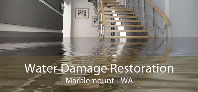 Water Damage Restoration Marblemount - WA