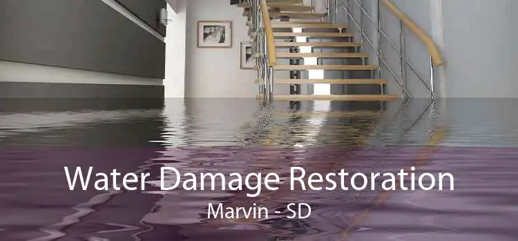 Water Damage Restoration Marvin - SD