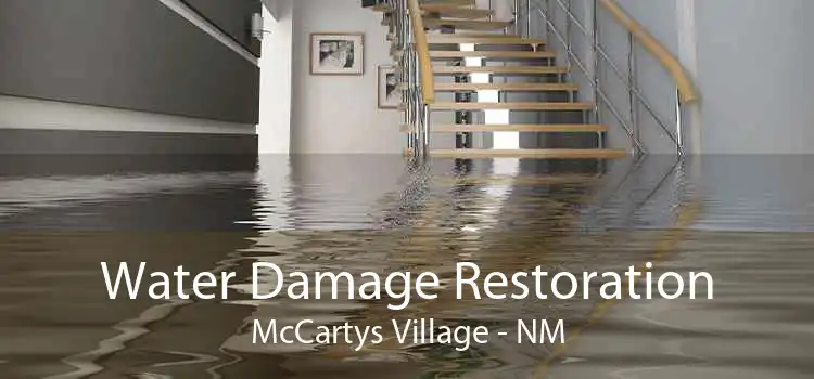 Water Damage Restoration McCartys Village - NM