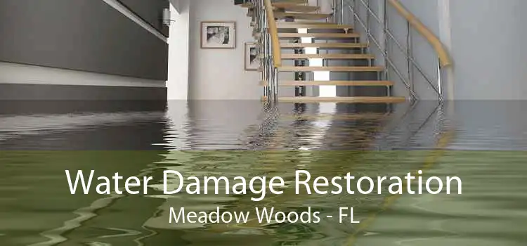 Water Damage Restoration Meadow Woods - FL