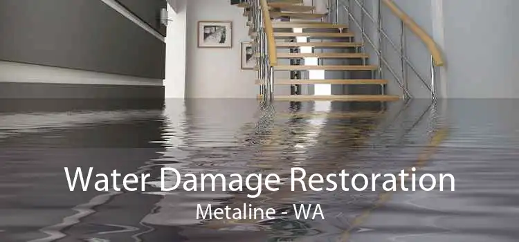 Water Damage Restoration Metaline - WA