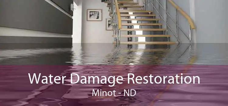 Water Damage Restoration Minot - ND