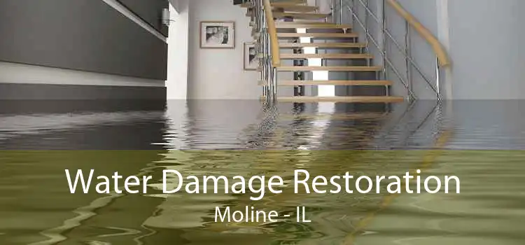 Water Damage Restoration Moline - IL