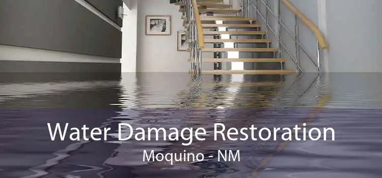 Water Damage Restoration Moquino - NM
