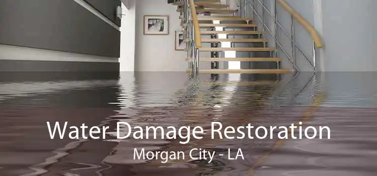 Water Damage Restoration Morgan City - LA