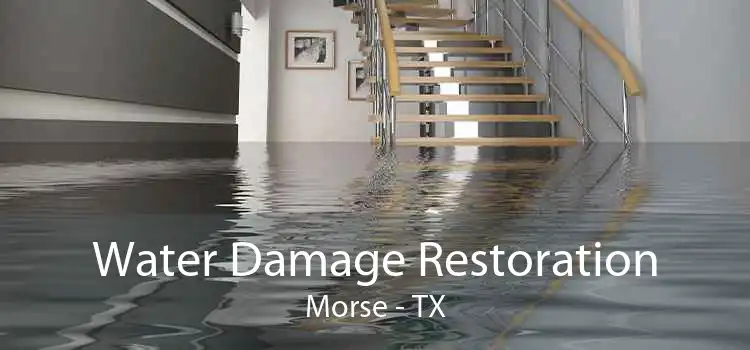 Water Damage Restoration Morse - TX