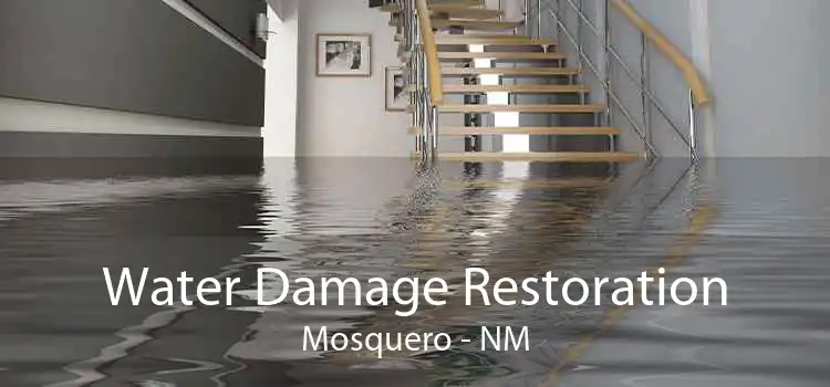 Water Damage Restoration Mosquero - NM