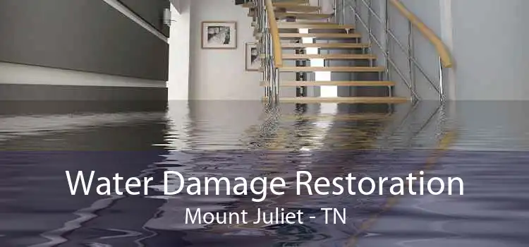 Water Damage Restoration Mount Juliet - TN