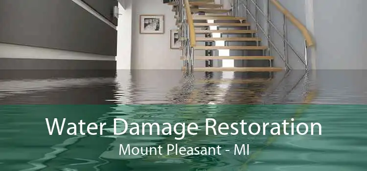 Water Damage Restoration Mount Pleasant - MI
