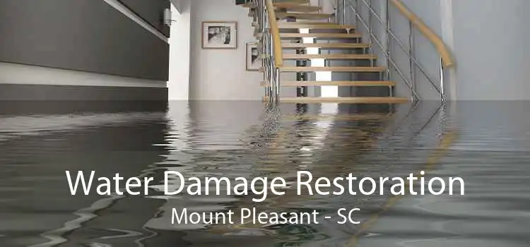 Water Damage Restoration Mount Pleasant - SC