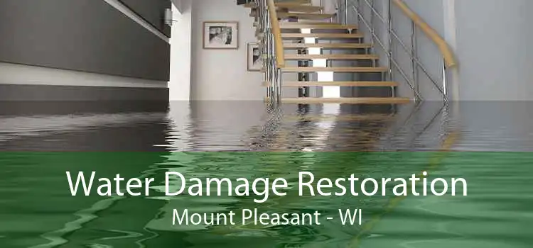 Water Damage Restoration Mount Pleasant - WI
