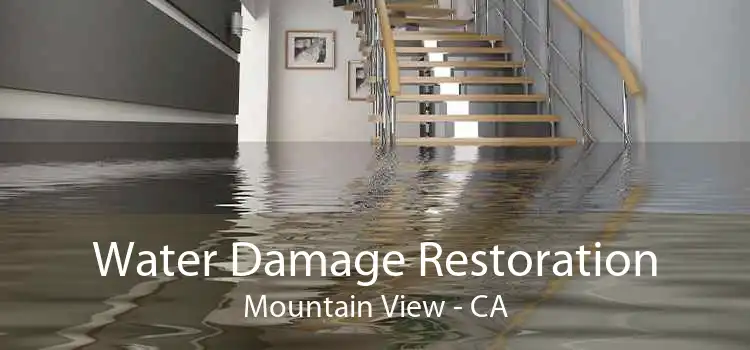 Water Damage Restoration Mountain View - CA