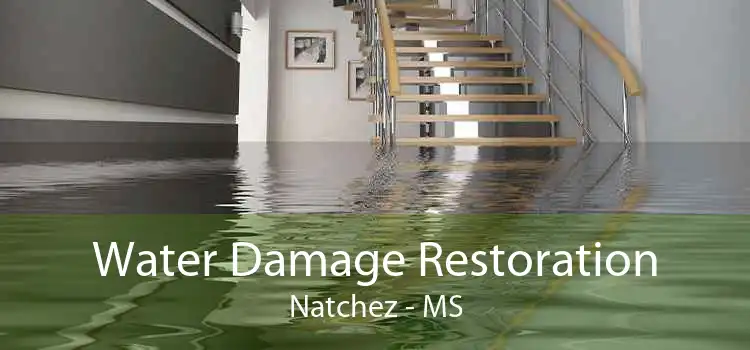 Water Damage Restoration Natchez - MS
