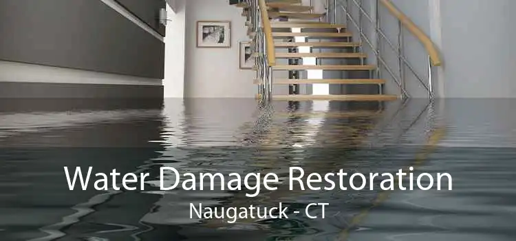 Water Damage Restoration Naugatuck - CT