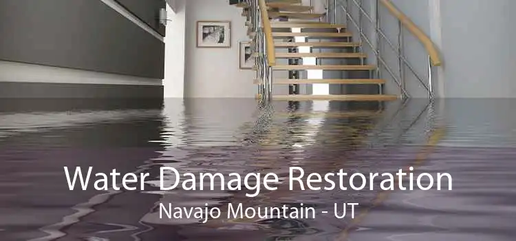 Water Damage Restoration Navajo Mountain - UT