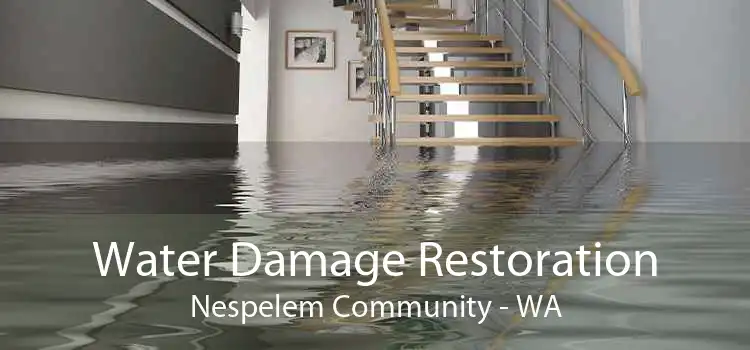 Water Damage Restoration Nespelem Community - WA