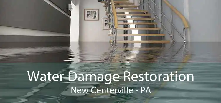Water Damage Restoration New Centerville - PA