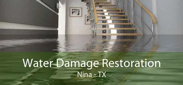 Water Damage Restoration Nina - TX