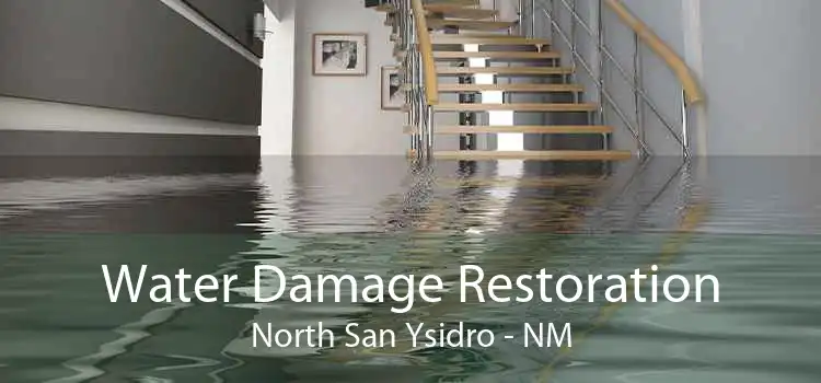 Water Damage Restoration North San Ysidro - NM