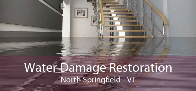 Water Damage Restoration North Springfield - VT