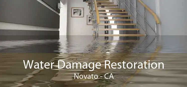 Water Damage Restoration Novato - CA