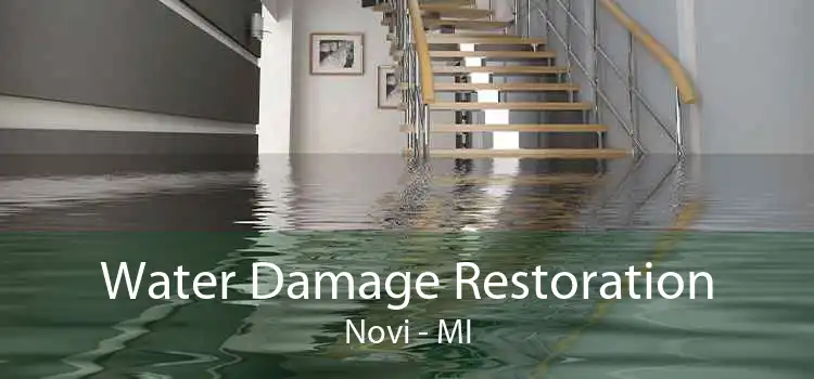 Water Damage Restoration Novi - MI