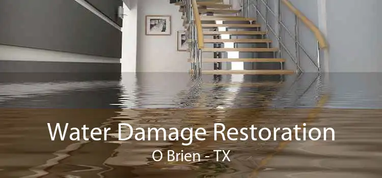 Water Damage Restoration O Brien - TX