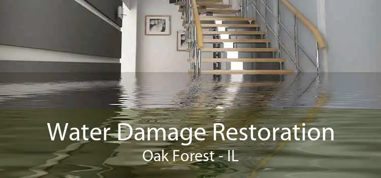 Water Damage Restoration Oak Forest - IL