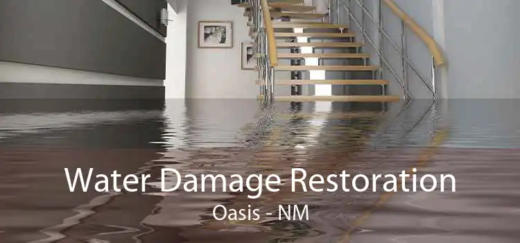 Water Damage Restoration Oasis - NM